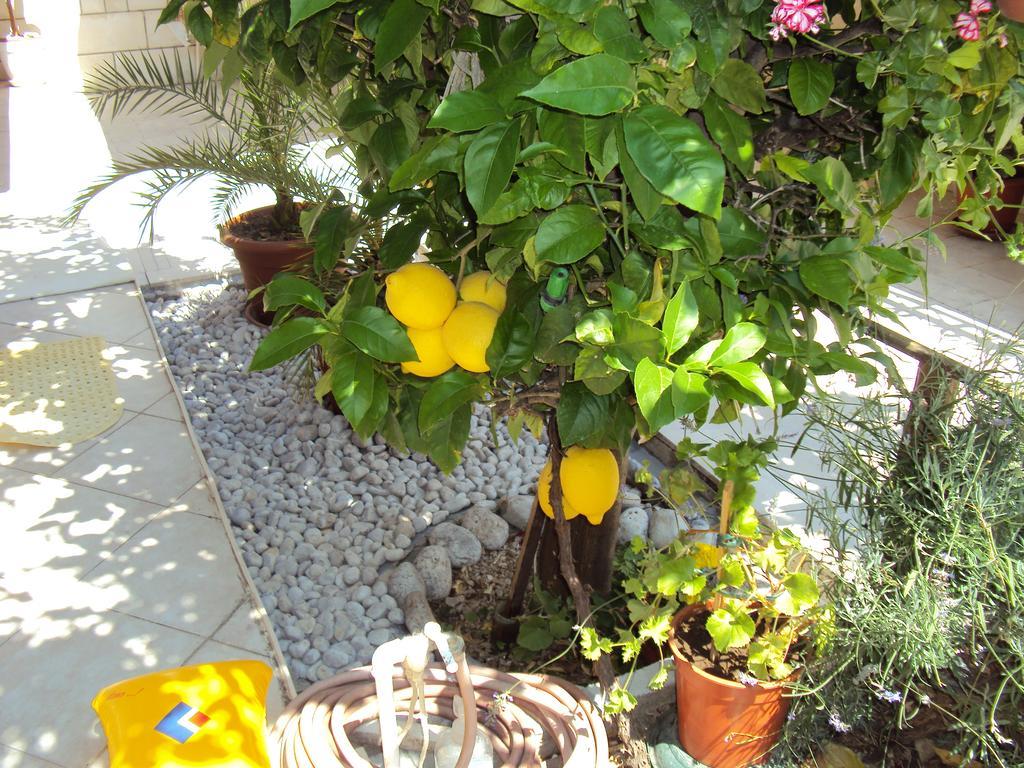Apartment Lemon Dubrovnik Buitenkant foto